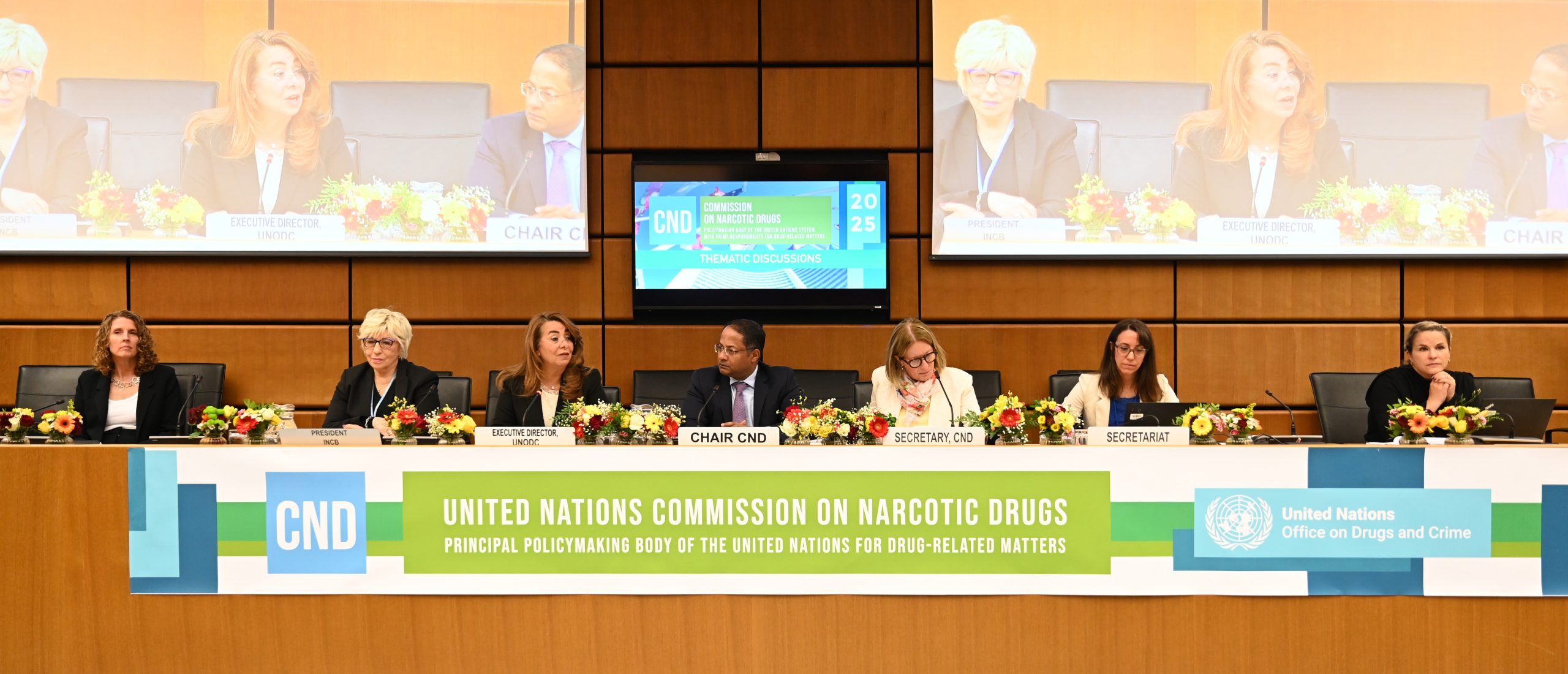 Addressing pressing health challenges at the 2025 CND Thematic Discussions
